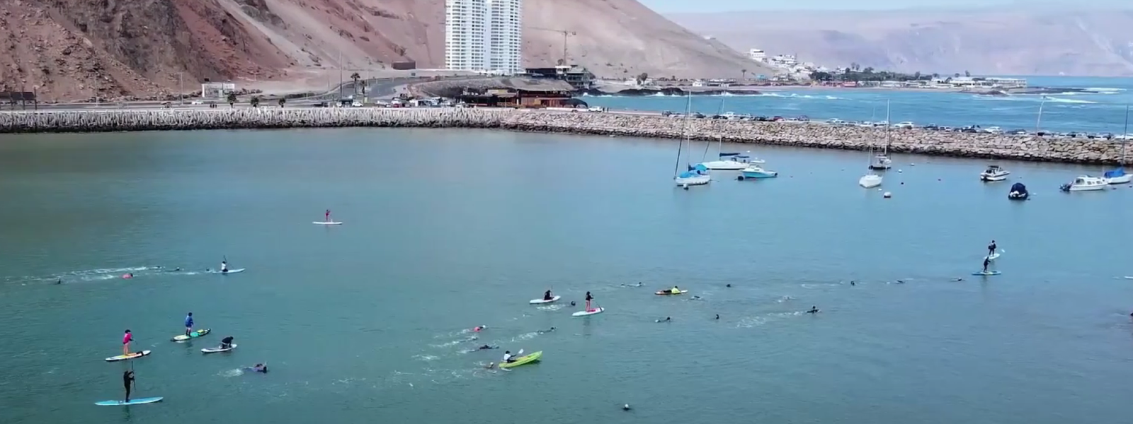 {0D7A43AF-C9C4-4819-B554-B03AF3B4903D}